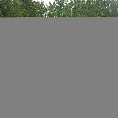 瑞興加工定制 新能源電動噴灑車,工程電動除塵灑水車,景區新能源電動降溫噴灑車,醫院除塵噴灑車,工廠道路灑水車