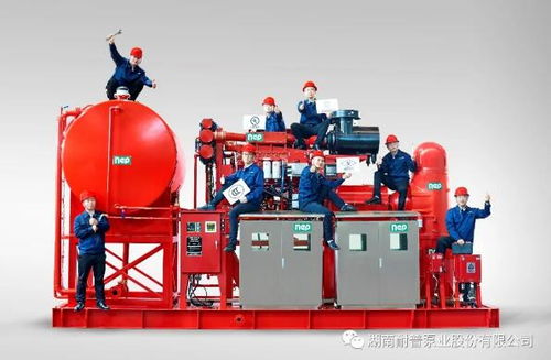 耐普泵業(yè)產(chǎn)品助力中國海洋裝備建設(shè)——中海油陸豐油田群區(qū)域開發(fā)項目柴油機(jī)消防泵組順利交付